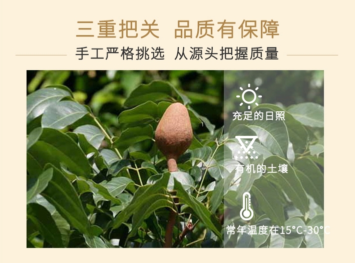 原珍向天果纯天高质量,树立行业品质典范