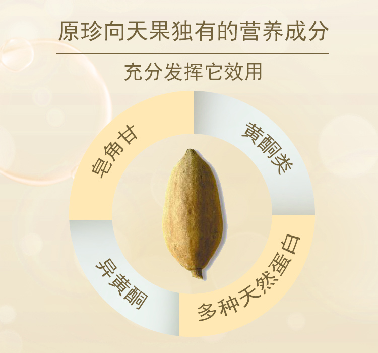 揭秘原珍向天果的神奇之处